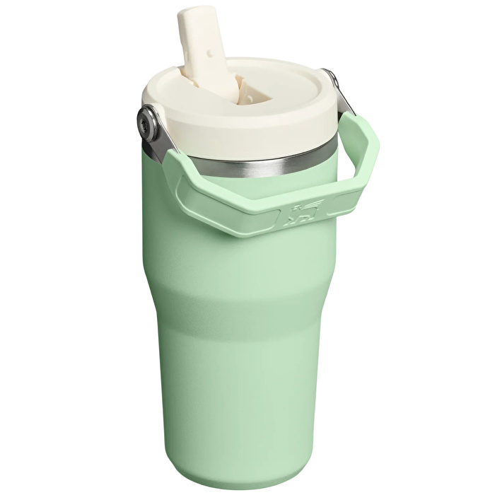 STANLEY The IceFlow™ Flip Straw 2.0 Tumbler 0.6L / 20oz Pistachio